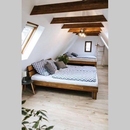 The Cozy Studio Apartment Lauf Лауф-ан-дер-Пегниц Экстерьер фото