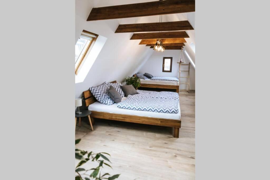 The Cozy Studio Apartment Lauf Лауф-ан-дер-Пегниц Экстерьер фото